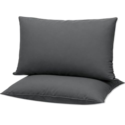 2 Pack Ultra Thin Extra Soft Bed Pillows