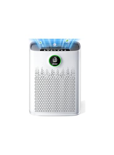 Large Room HEPA Air Purifier with Smart Display