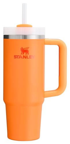 Stanley 30 oz Insulated Stainless Steel Tumbler