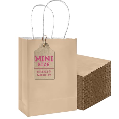 24 Pack Mini Paper Gift Bags with Handles