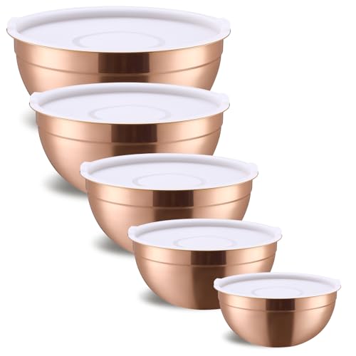 5 Piece Stainless Steel Mixing Bowls with Lids
