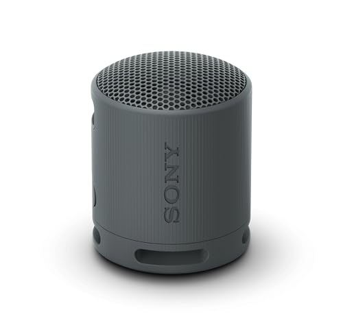 Sony SRS-XB100 Waterproof Wireless Bluetooth Portable Speaker