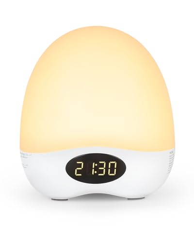 Rechargeable Dimmable Nursery Night Light with Timer