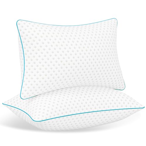 2 Pack Queen Down Alternative Bed Pillows