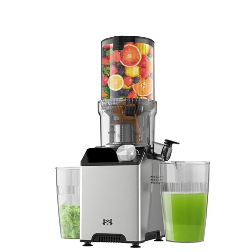 Slow Masticating Wide Chute Cold Press Juicer