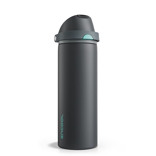 24 oz Insulated Stainless Steel Water Bottle with Straw