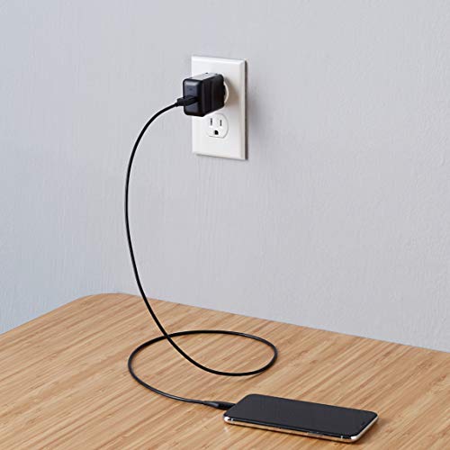 12W USB-A Wall Charger by Amazon Basics