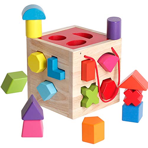 12 Piece Wooden Shape Sorter Toy for Toddlers