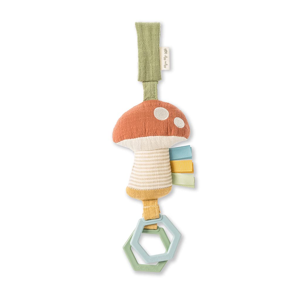 Itzy Ritzy Jingle Travel Toy for Babies