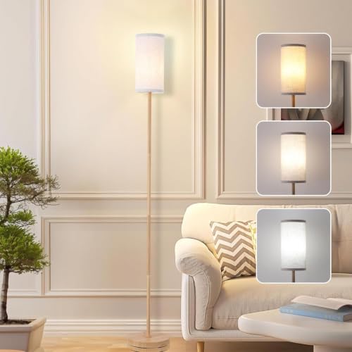 LED Floor Lamp with 3 Color Temperatures