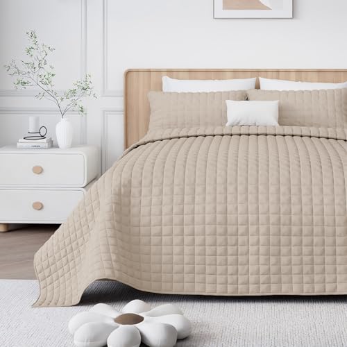 Velvet Queen Quilt Set with Pillow Shams