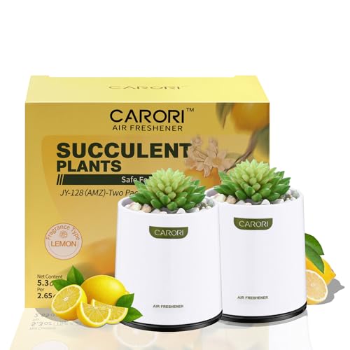 2 Pack Artificial Succulent Plants in Pots
