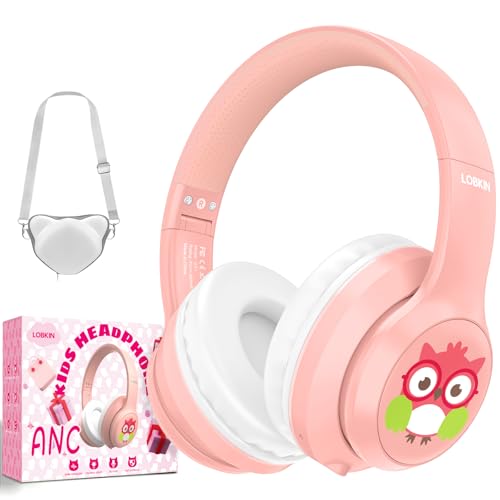 Kids Bluetooth Noise Cancelling Wireless Headphones with Mic