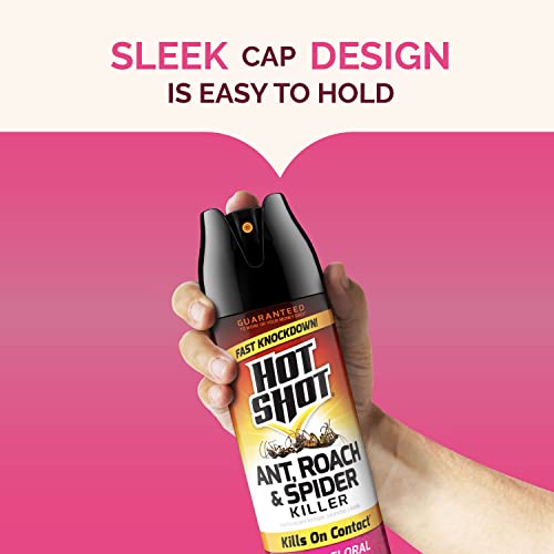 Hot Shot Ant, Roach And Spider Killer 2-17.5 Ounce Aerosol Cans, Fresh Floral Scent, Twin Pack