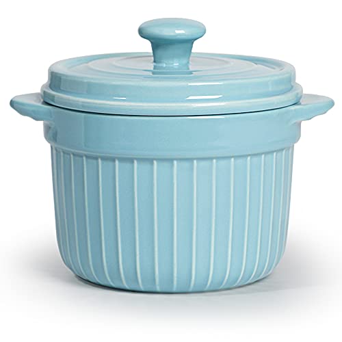 17oz Ceramic Candy Jar with Lid, Porcelain Container