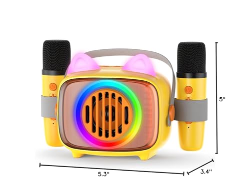 BIGASUO Bluetooth Karaoke Machine with 2 Microphones