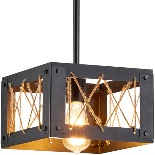 Farmhouse Adjustable 1-Light Pendant Ceiling Light