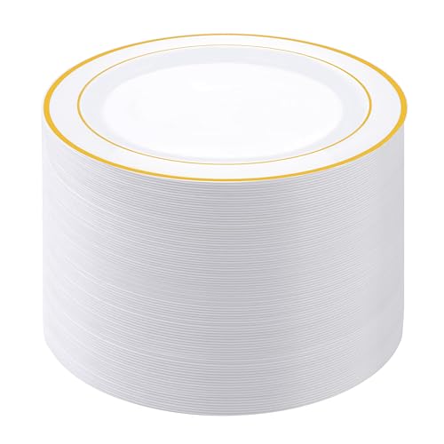 100 Count Plastic Dinner Plates Disposable