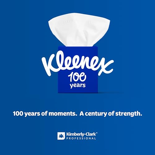 Kleenex Professional 2-Ply Facial Tissue Bulk Box