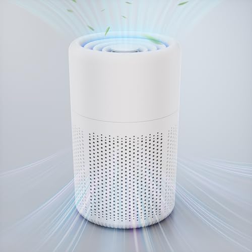 Mini HEPA Air Purifier for Bedroom with Fragrance Function