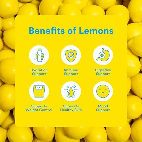 12-Pack Lemon Perfect Organic Lemon Water Drinks