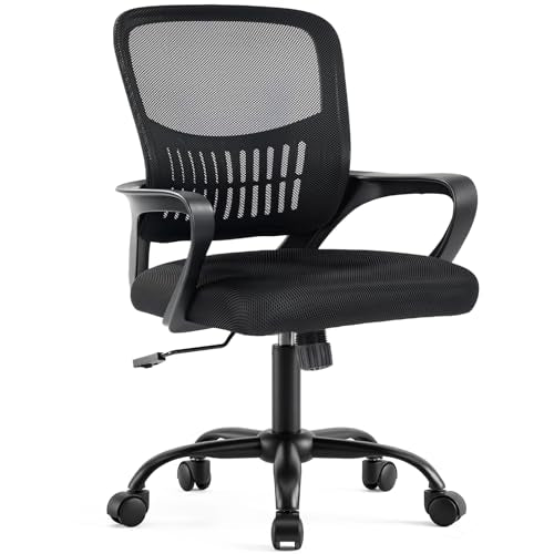 Ergonomic Home Office Desk Chair with Lumbar Support