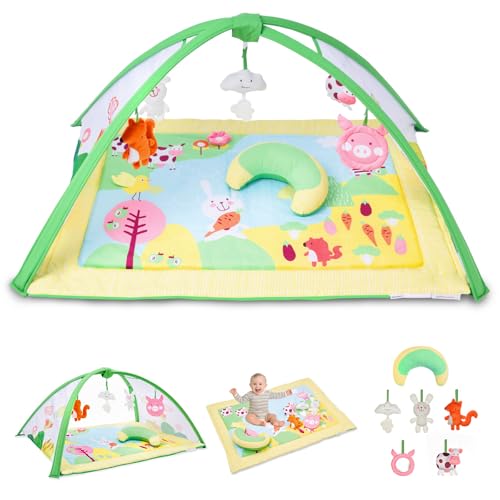 Oversized Baby Play Gym Mat with Detachable Toys