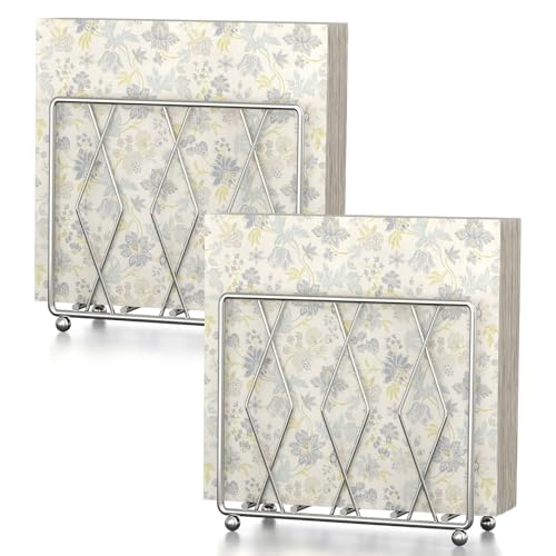 2 Pack Upright Metal Napkin Holders