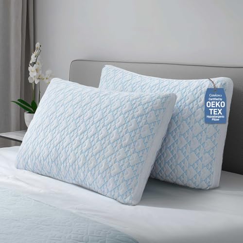 2 Pack Adjustable Shredded Memory Foam King Pillows