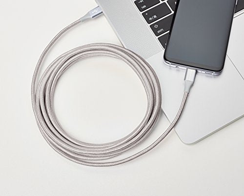 10 Foot USB-C Fast Charger Cable by Amazon Basics