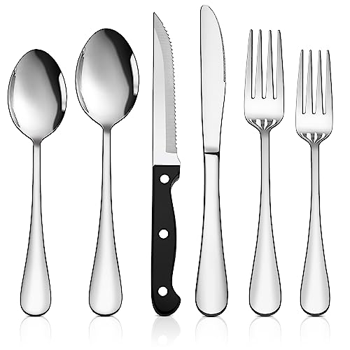 48 Piece Stainless Steel Silverware Set with Steak Knives