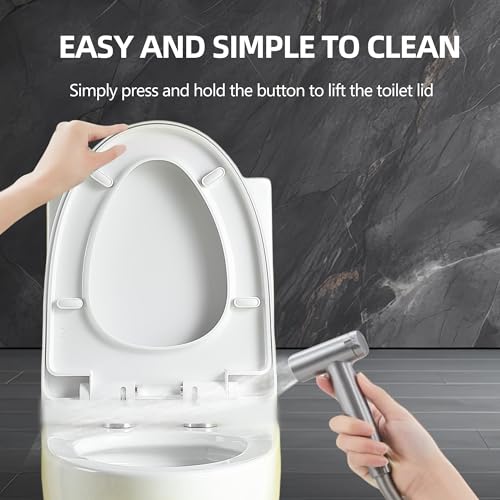 Favfurish Dual-Flush Elongated One Piece Toilet
