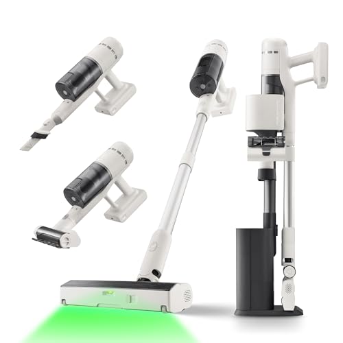 roborock H60 Cordless Stick Vacuum with Auto-Empty Dock