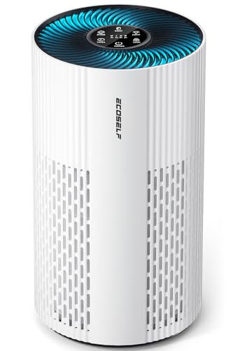 Air Purifier for Home Large Room True HEPA Filter