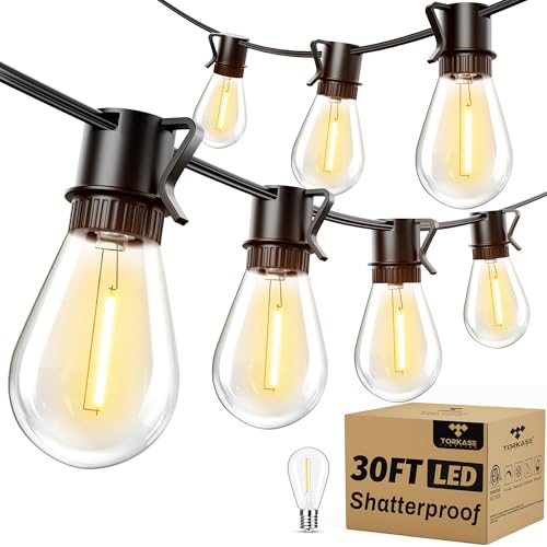 30FT Dimmable LED Outdoor String Lights