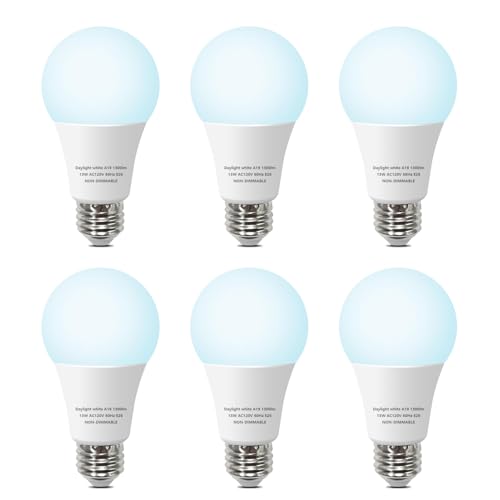 6 Pack 100W Equivalent A19 LED Light Bulbs