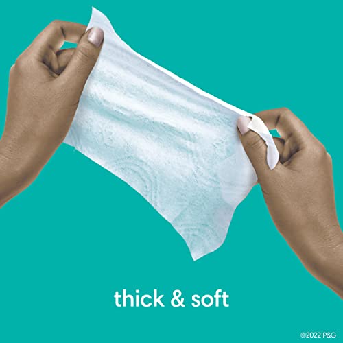 Pampers Swaddlers Size 1 Diapers with Wipes