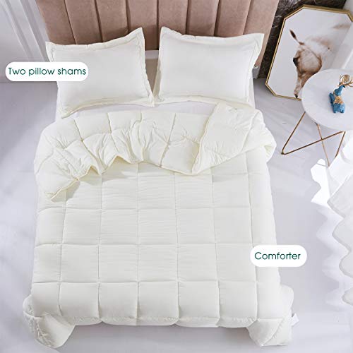 HIG 3pc Prewashed All Season Down Alternative Comforter Duvet Insert -Quilted Comforter with Corner Tabs -Box Stitched -250GSM Fiberfill Chic Farmhouse Style Bedding(Salomon,Twin,Ivory)