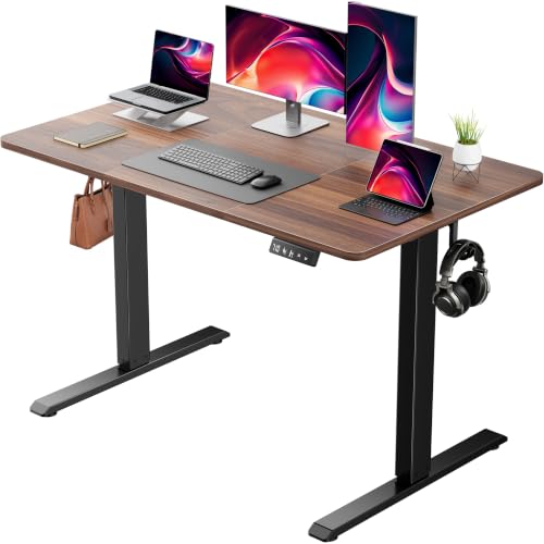 48-Inch Electric Height Adjustable Standing Desk