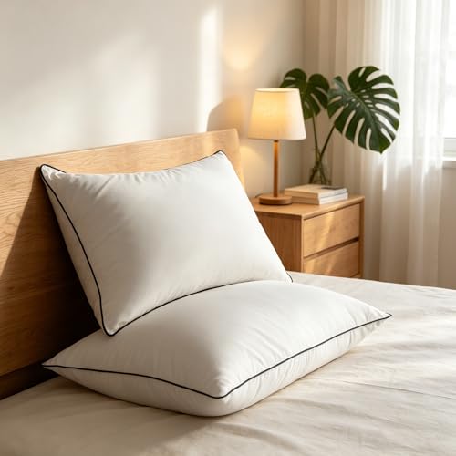 2 Pack Queen Down Alternative Bed Pillows