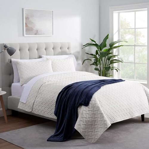 Serta Cozy Plush Super Soft Throw Blanket