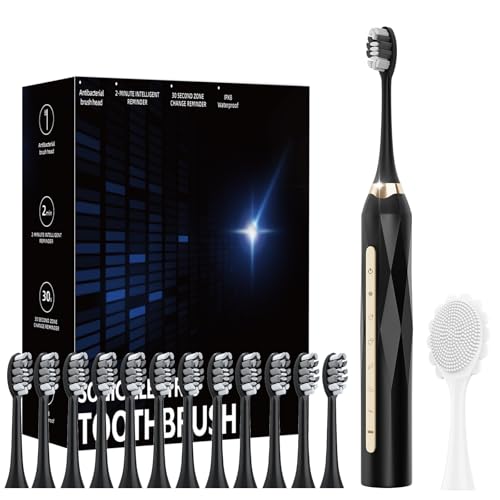 12 Pack Rechargeable Sonic Electric Toothbrush with Brush Heads