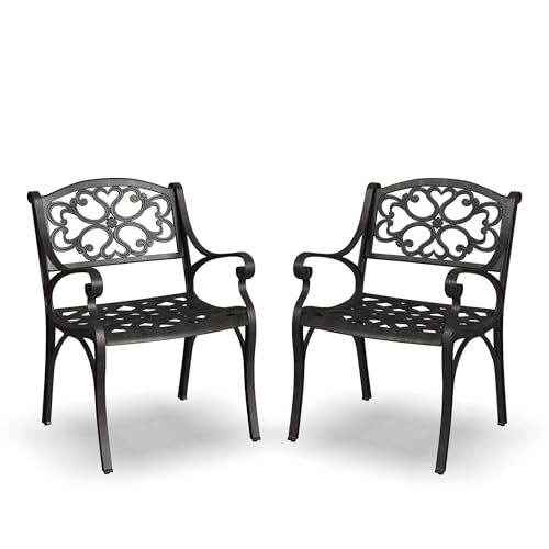 2 Pack Patio Cast Aluminum Dining Chairs