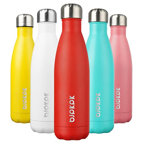 17oz Insulated Stainless Steel Sports Water Bottle