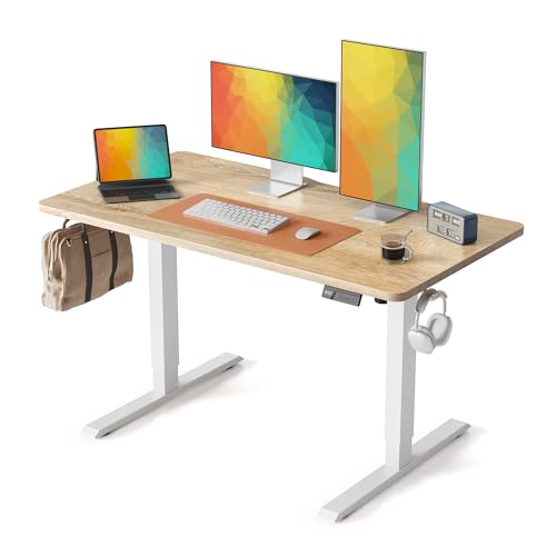 Electric Height Adjustable Standing Desk 48x24 Inch