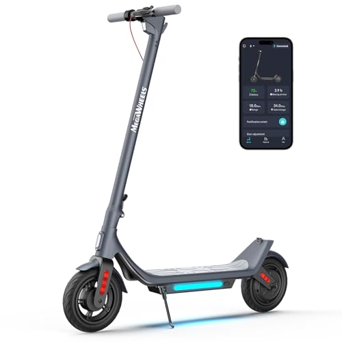 500W Long Range Electric Scooter with 10" Tires