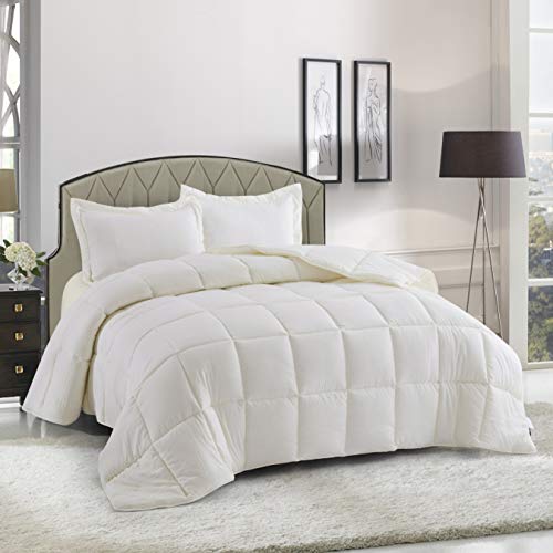 HIG 3pc Prewashed All Season Down Alternative Comforter Duvet Insert -Quilted Comforter with Corner Tabs -Box Stitched -250GSM Fiberfill Chic Farmhouse Style Bedding(Salomon,Twin,Ivory)