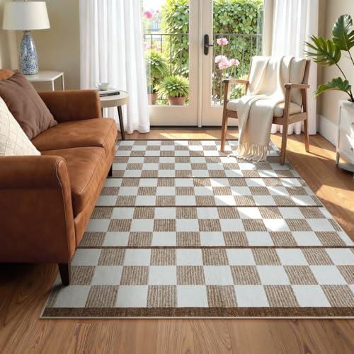 5x7 Washable Checkered Area Rug