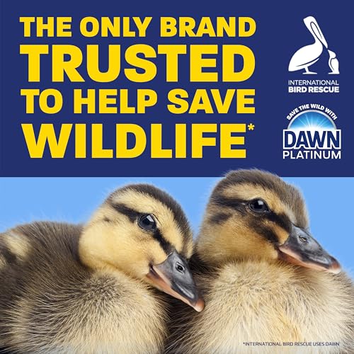 Dawn EZ-Squeeze Dish Soap with Non-Scratch Sponges