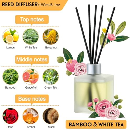 Brakula Reed Diffusers Set - Bamboo & White Tea Scented Aromatic Oil Diffuser with 10 Sticks for Room Décor, 6.1 oz /180ml, Long-Lasting Fragrance